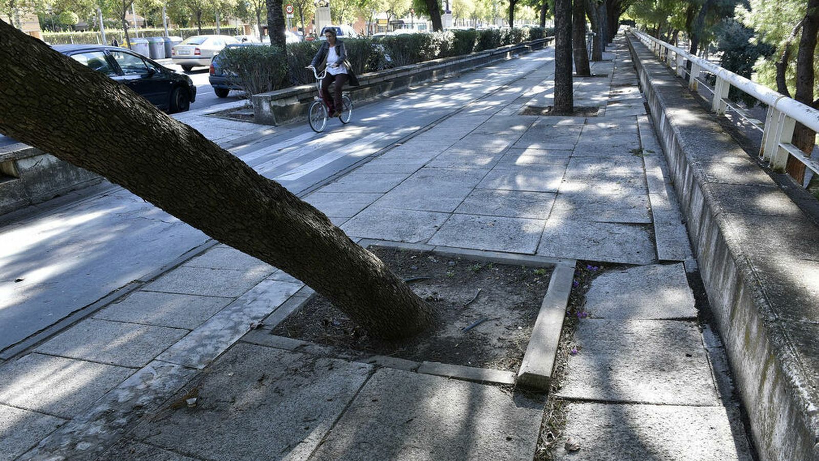 Una mujer circula por el carril bici de la deteriorada calle Torneo.