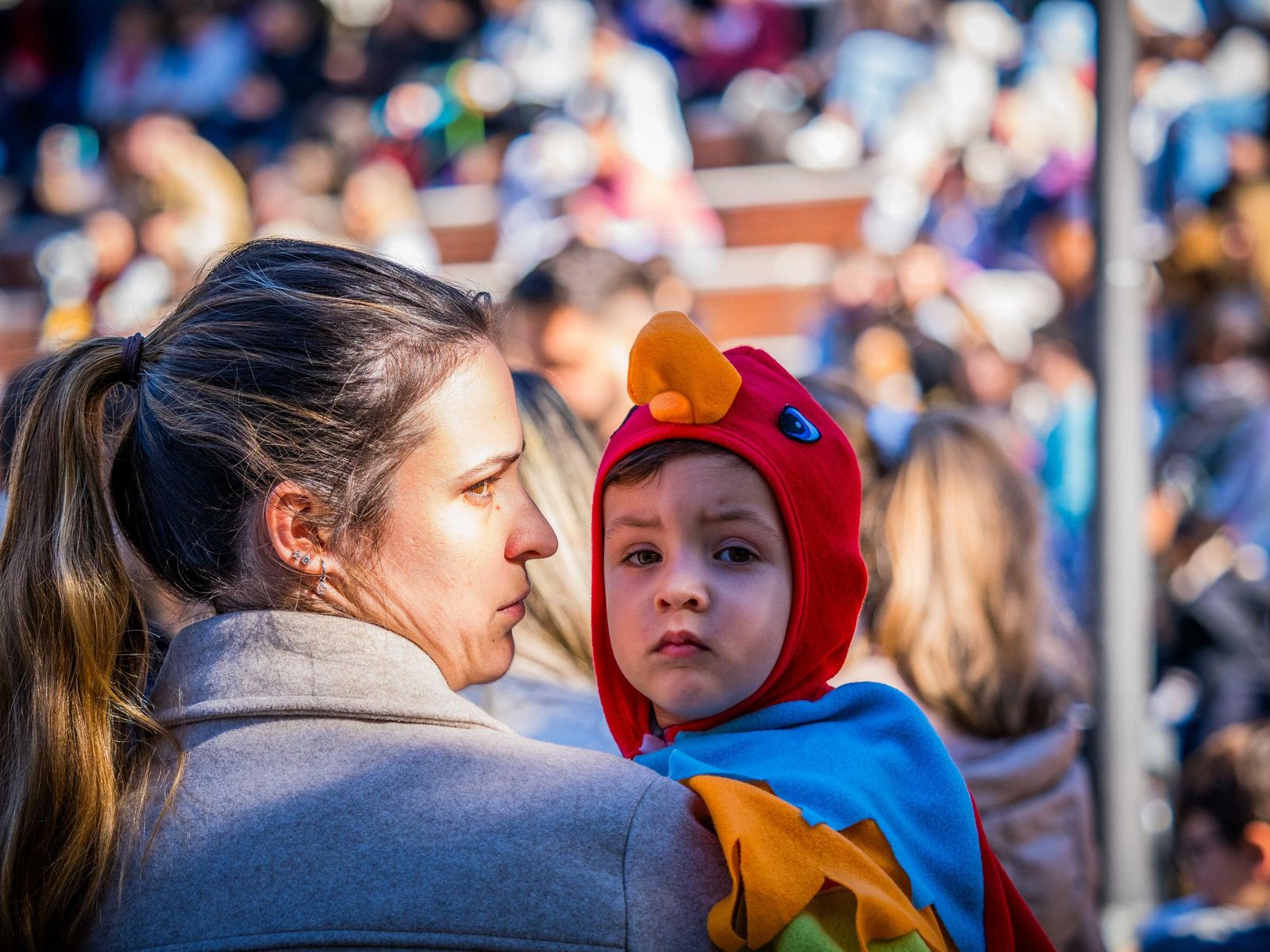 Las imágenes de San Antón 2025 en San Fernando