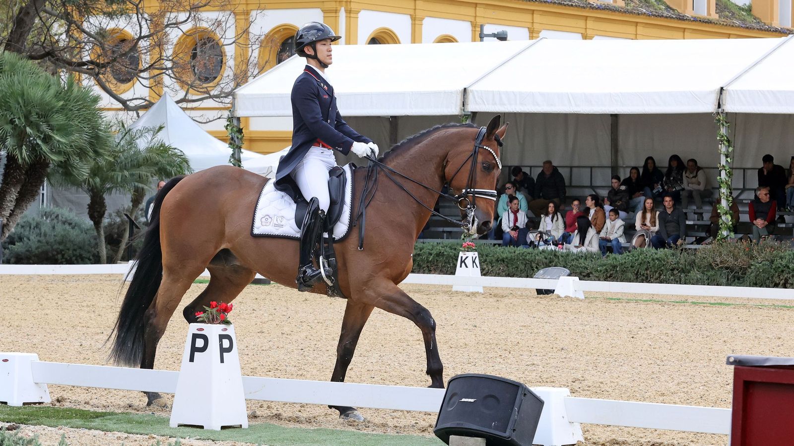 Concurso Internacional de Doma Clásica en La Real Escuela de Jerez