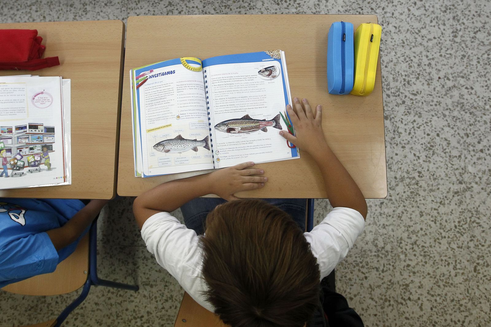 Escolares de Primaria con sus libros de texto.
