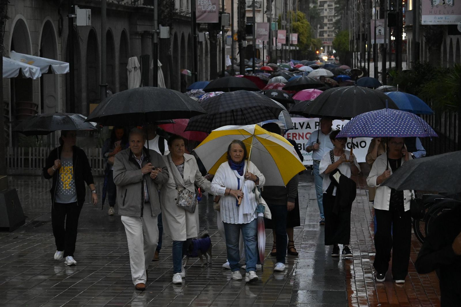 Las mejores imágenes de la manifestación por la sanidad en Huelva