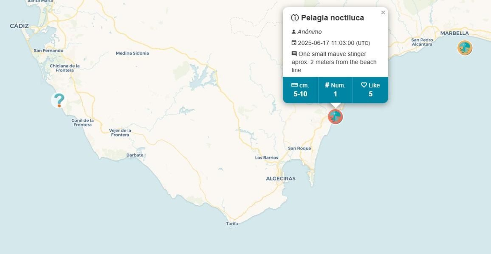 Detectan ejemplares de una medusa considerada peligrosa en la playa de Torreguadiaro, en San Roque. Detectan ejemplares de una medusa considerada peligrosa en la playa de Torreguadiaro, en San Roque.
