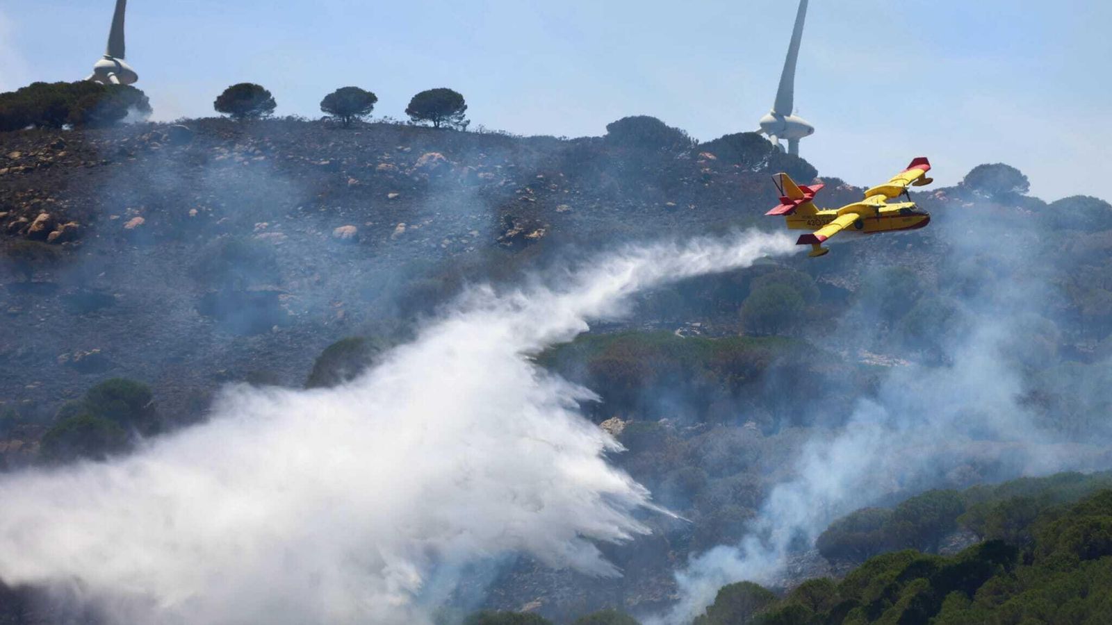 Medios aéreos tratan de extinguir el incendio de Tarifa, este martes.
