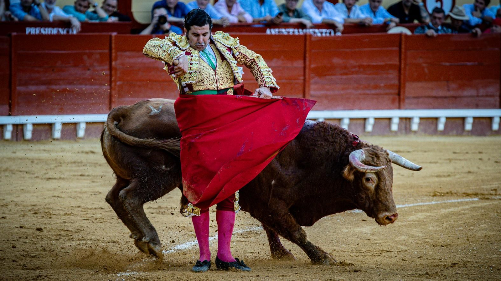 Las imágenes de la corrida de toros en El Puerto: Morante, Talavante y Juan Ortega