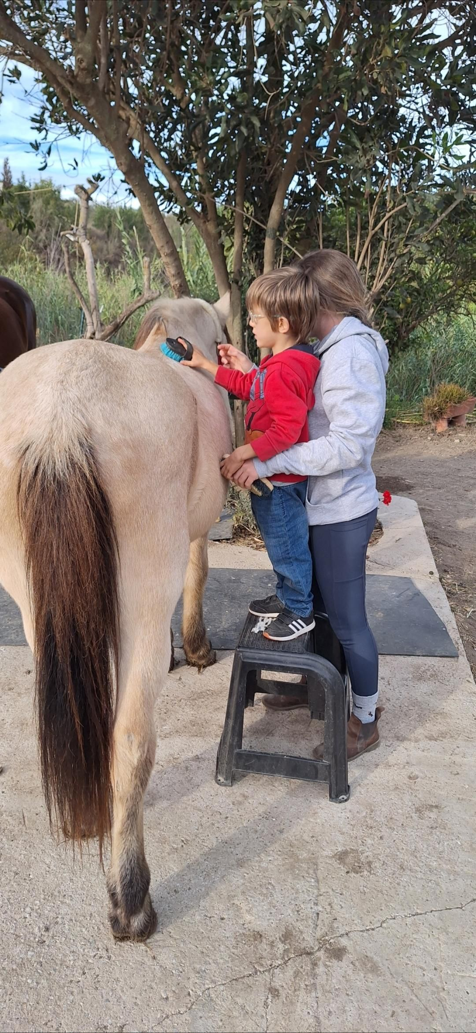 Einar y su terapeuta peinan al caballo, una de las actividades que forman parte de la intevención. Einar y su terapeuta peinan al caballo, una de las actividades que forman parte de la intevención.