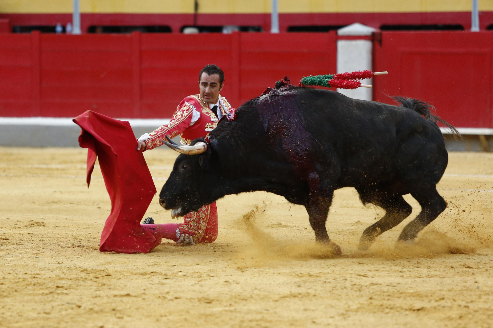 Las mejores imágenes de los toros en el Corpus