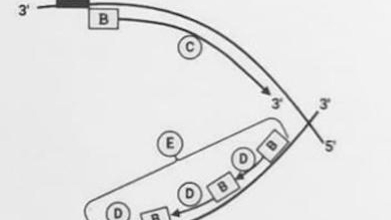El ejercicio que ha causado polémica del examen de Biología de  la Selectividad de Andalucía