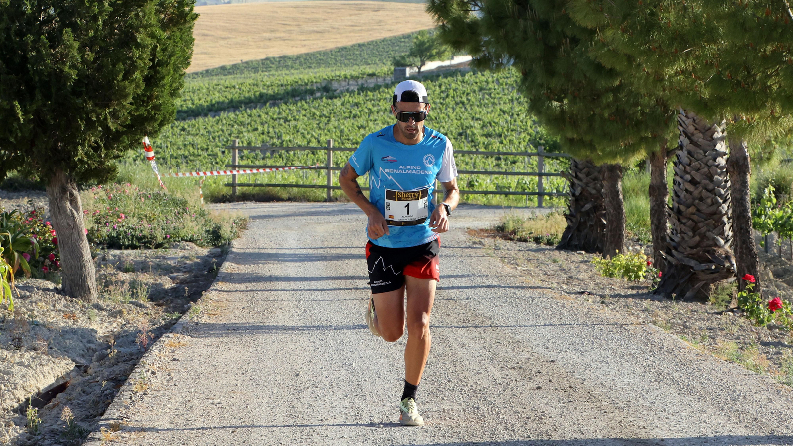VI Sherry Maratón Jerez