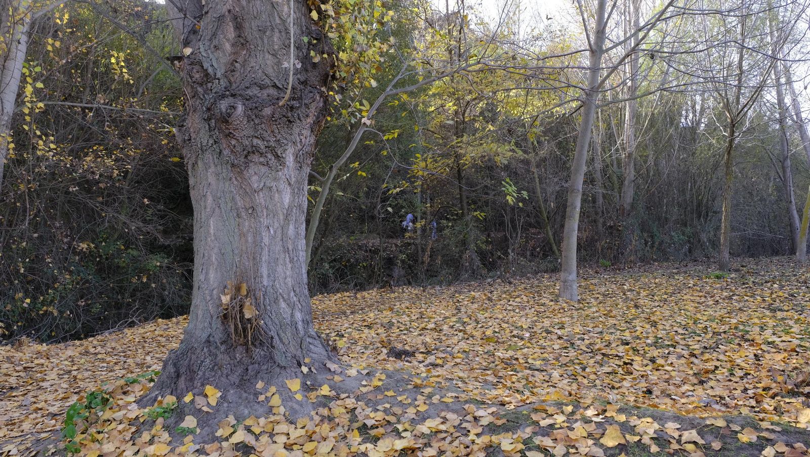 Limpieza y senderismo por la Alpujarra, en imágenes