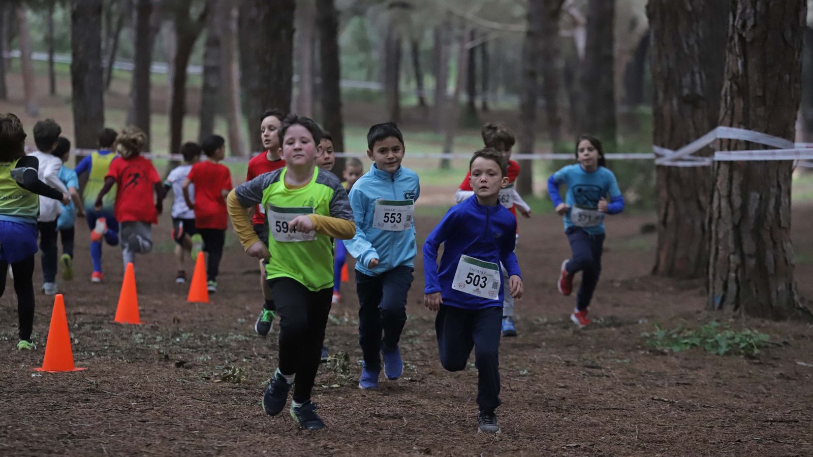Fotos del III Cross Pinar del Rey en San Roque