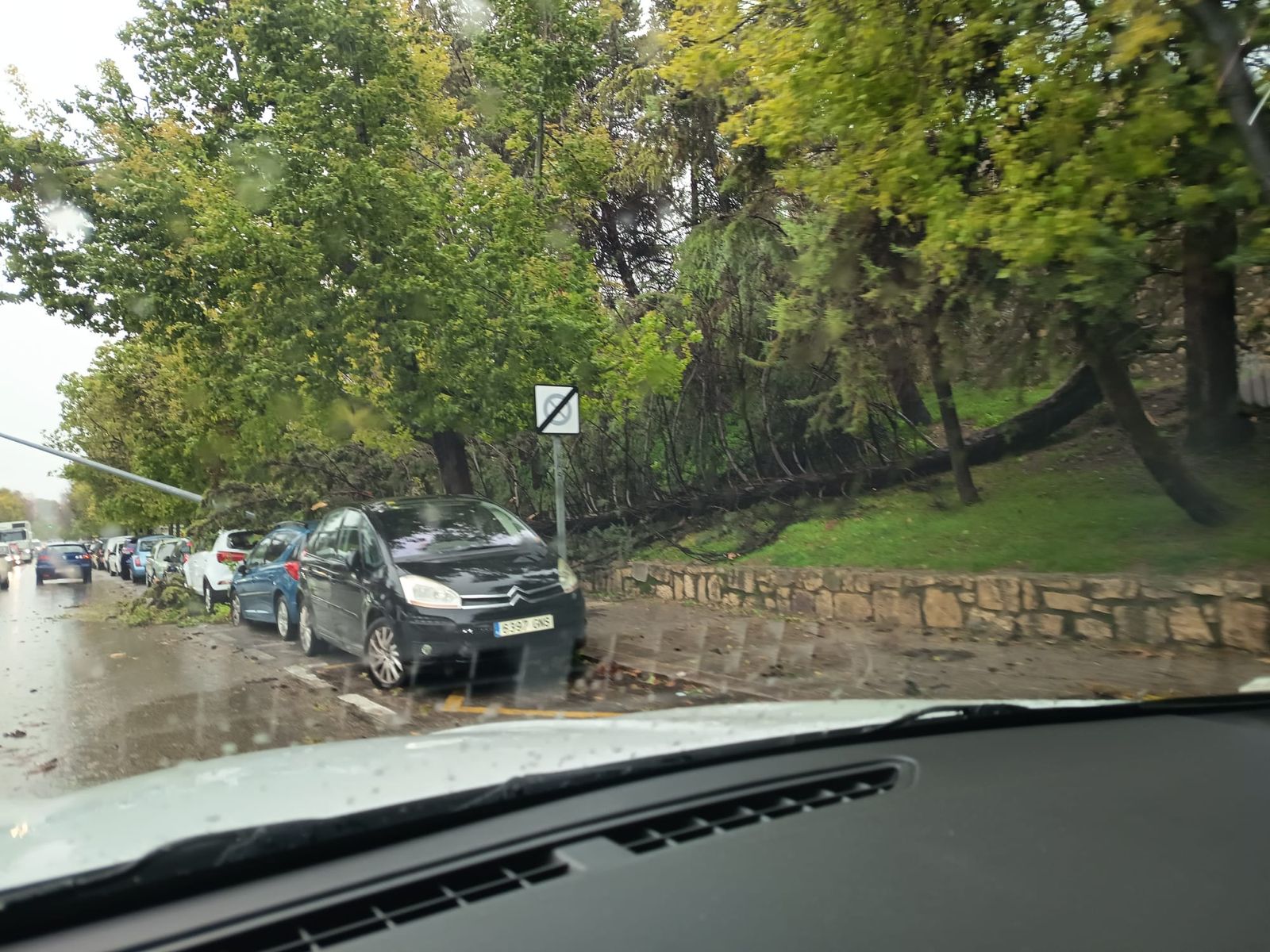 Cae por el viento un árbol en la calle Senda de los Huertos.