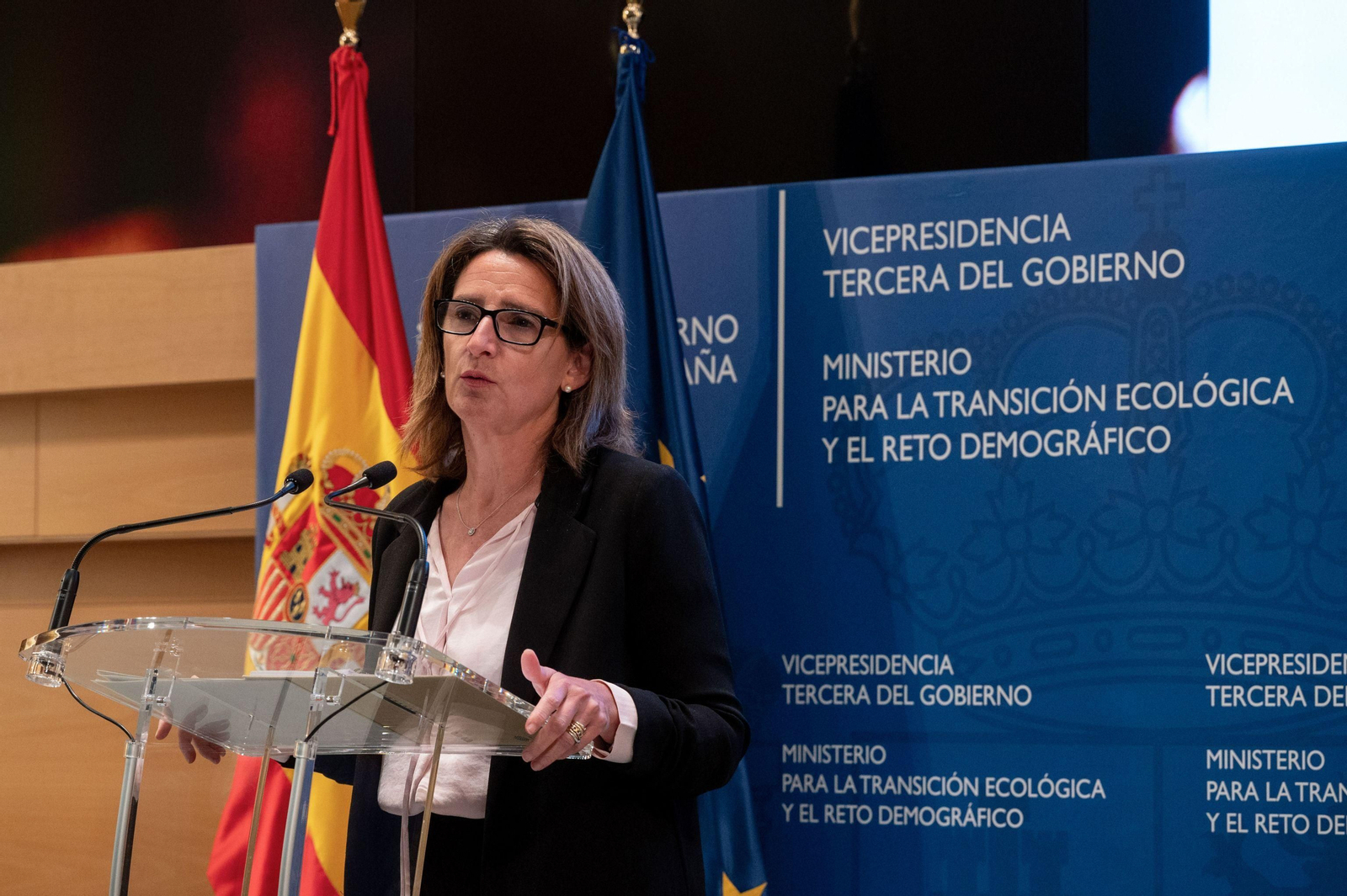 La comparecencia de Teresa Ribera ha sido solicitada por PP y Vox.