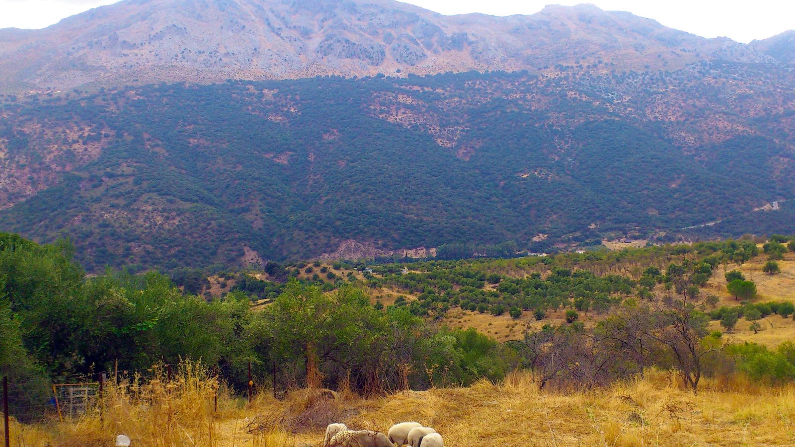 Al fondo, la sierra del Palo.