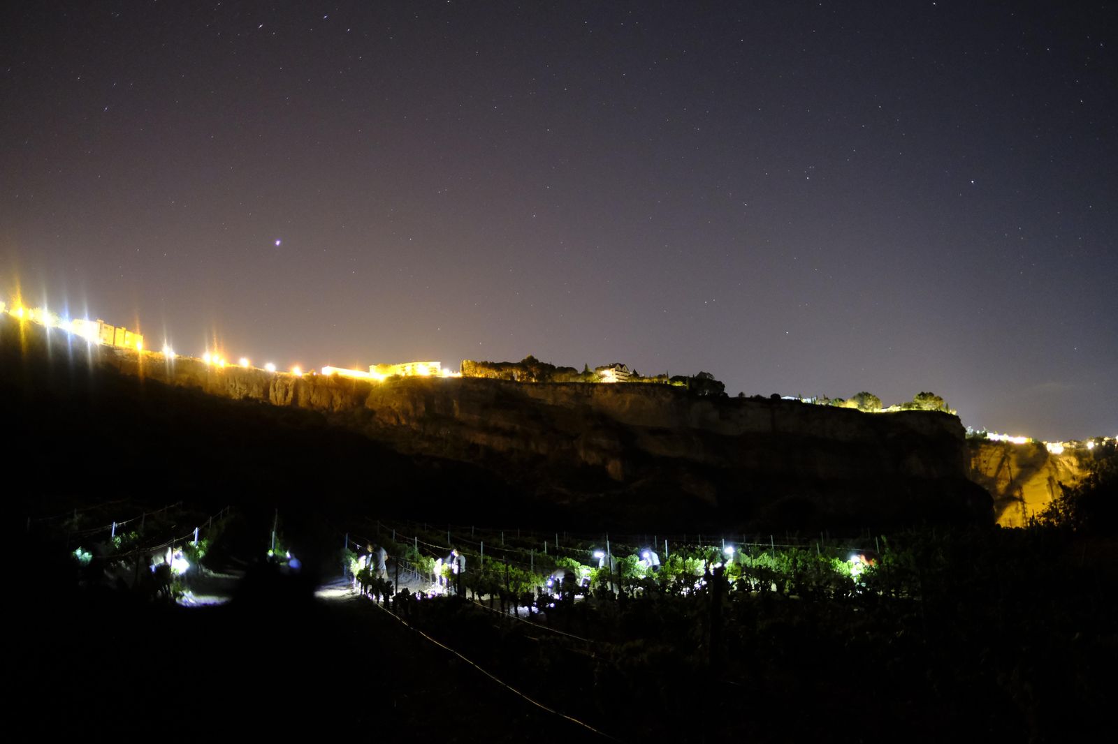 Vendimia nocturna en Ronda, en fotos