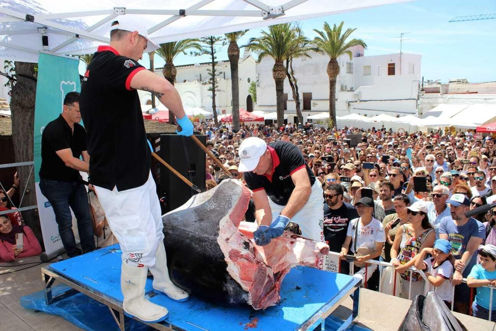 Semana del Atún de Conil