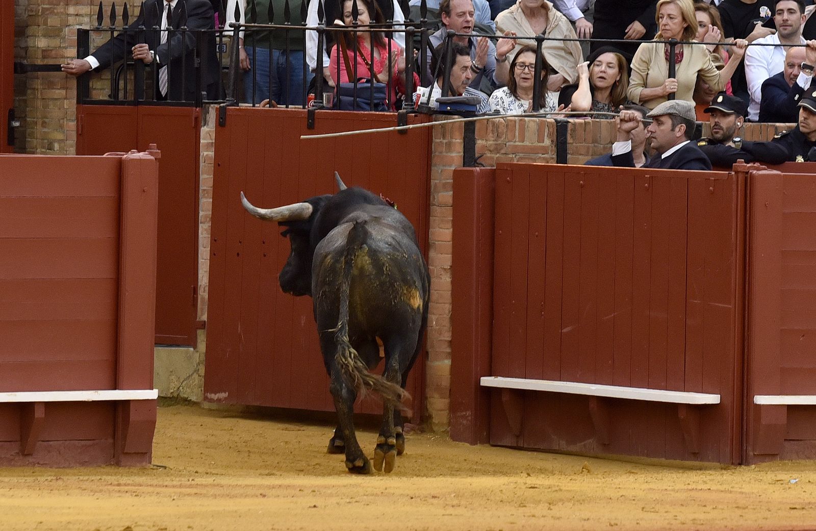 Las imágenes de la 14ª de abono de la Maestranza