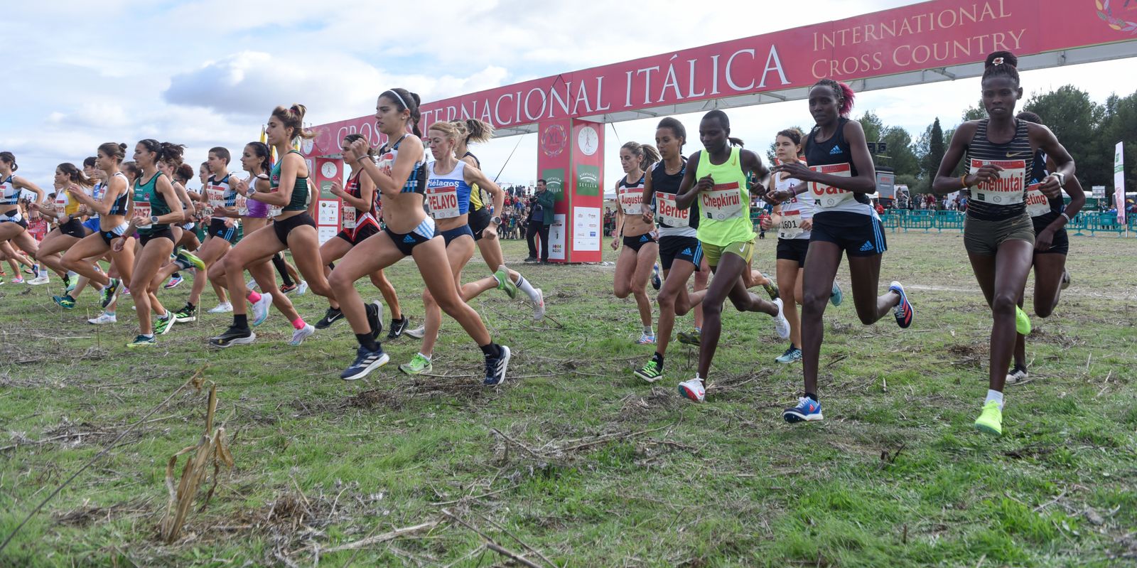 Las imágenes del Cross Internacional Itálica 2022
