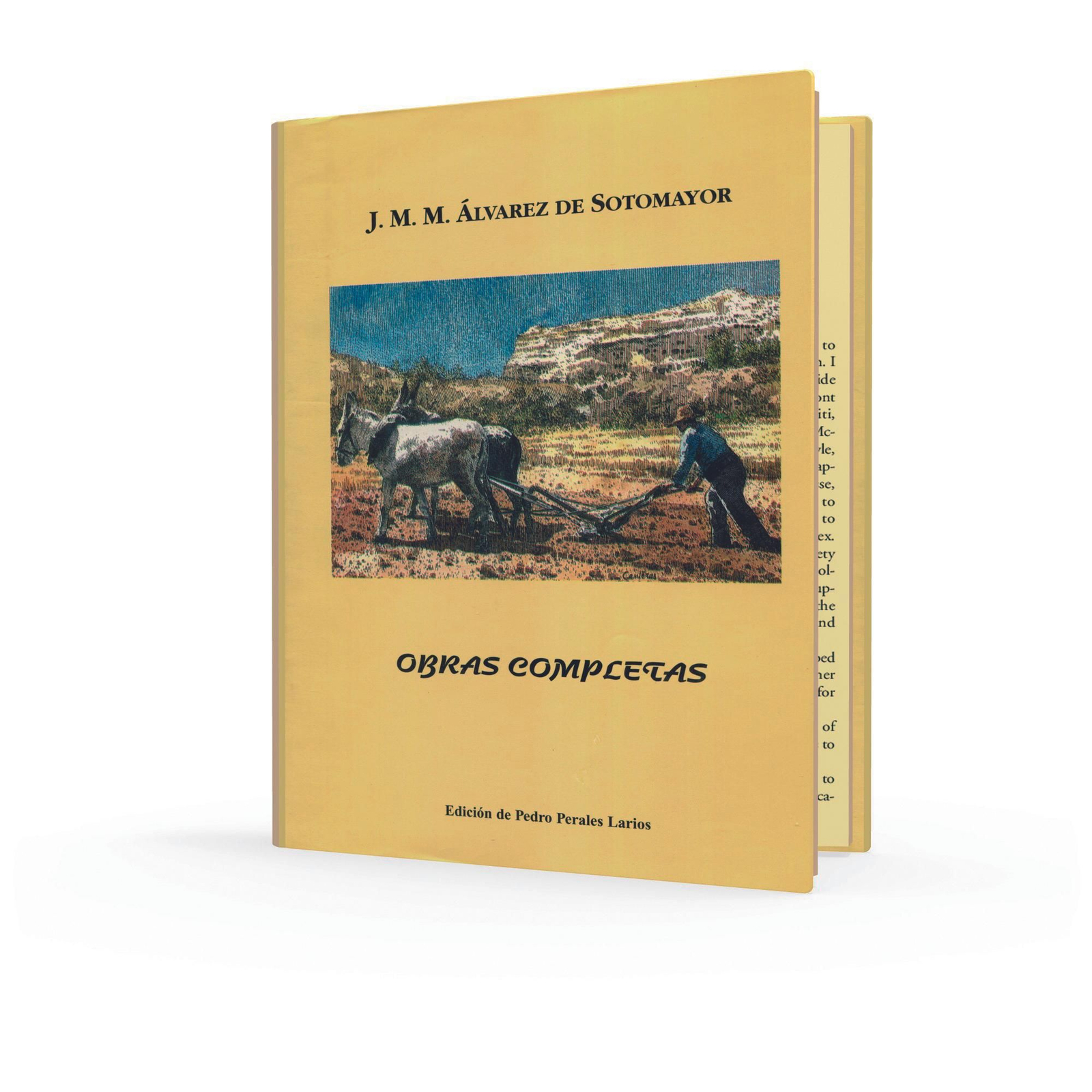 Libro de obras completas