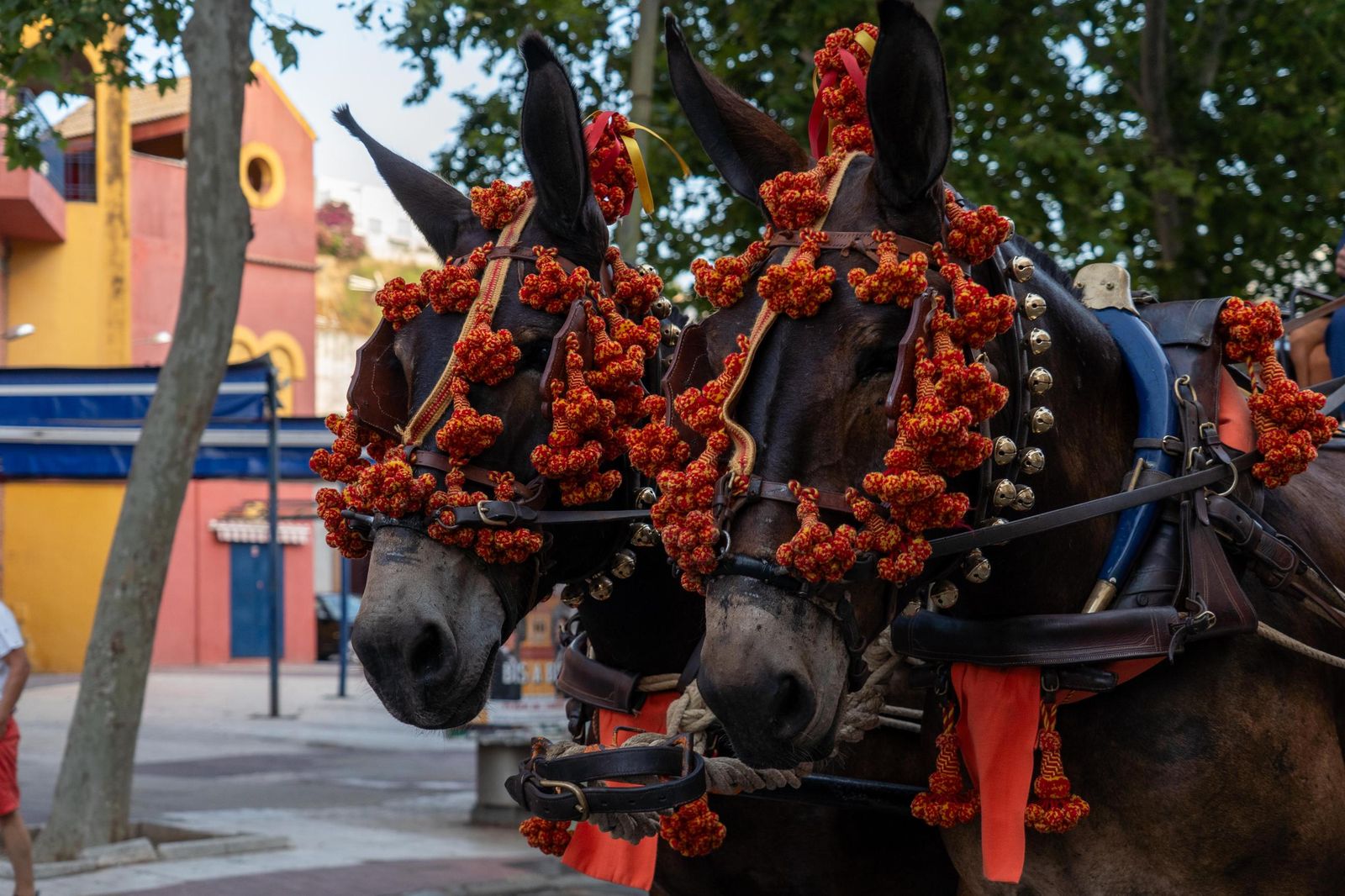 Imágenes de la presentación oficial de la Feria Taurina de Colombinas 2025.