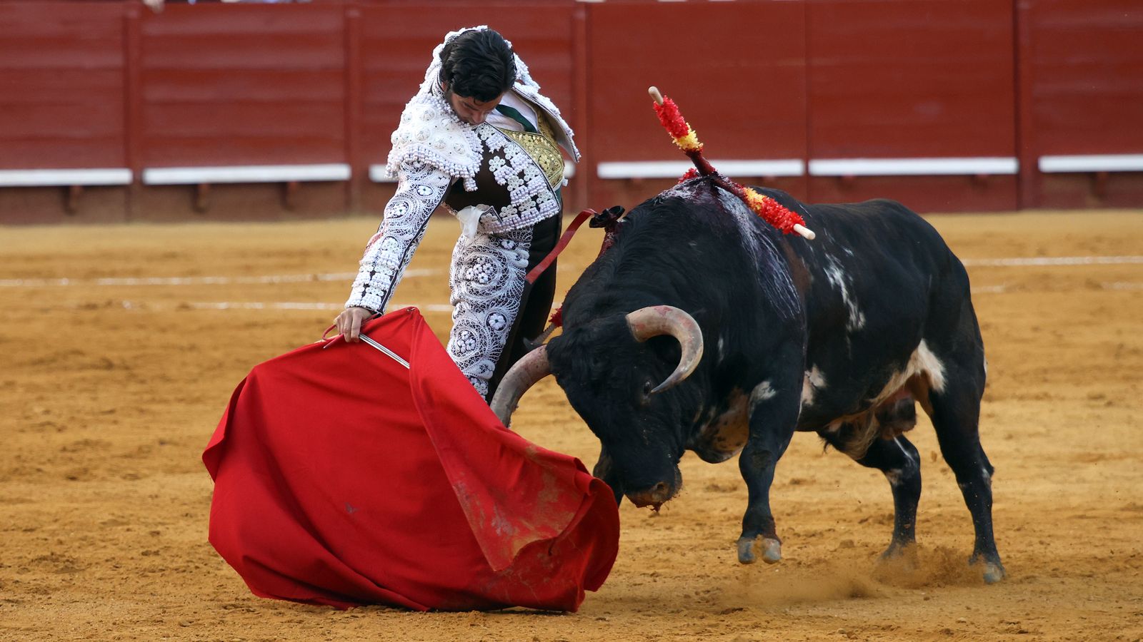 Tercera tarde de toros y última de la Feria de Jerez con Morante, Juan Ortega y Roca Rey