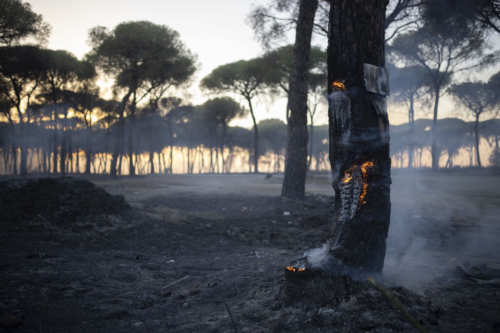 Incendio de este sábado en Bonares.