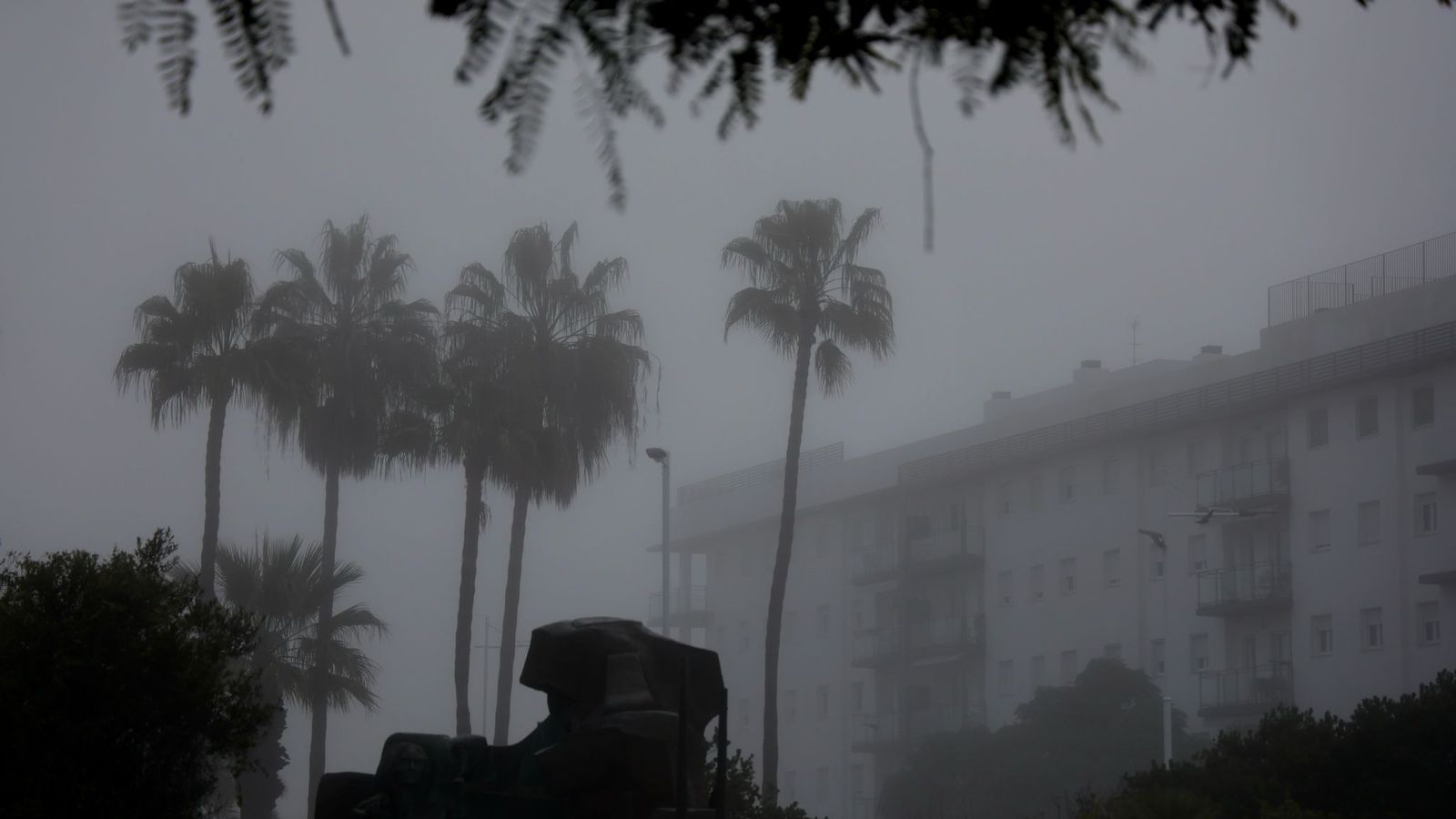 Niebla espesa en Huelva este lunes.
