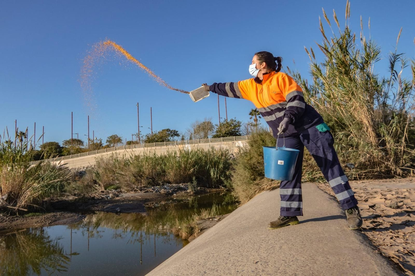 Tareas de fumigación en zonas de aguas estancadas