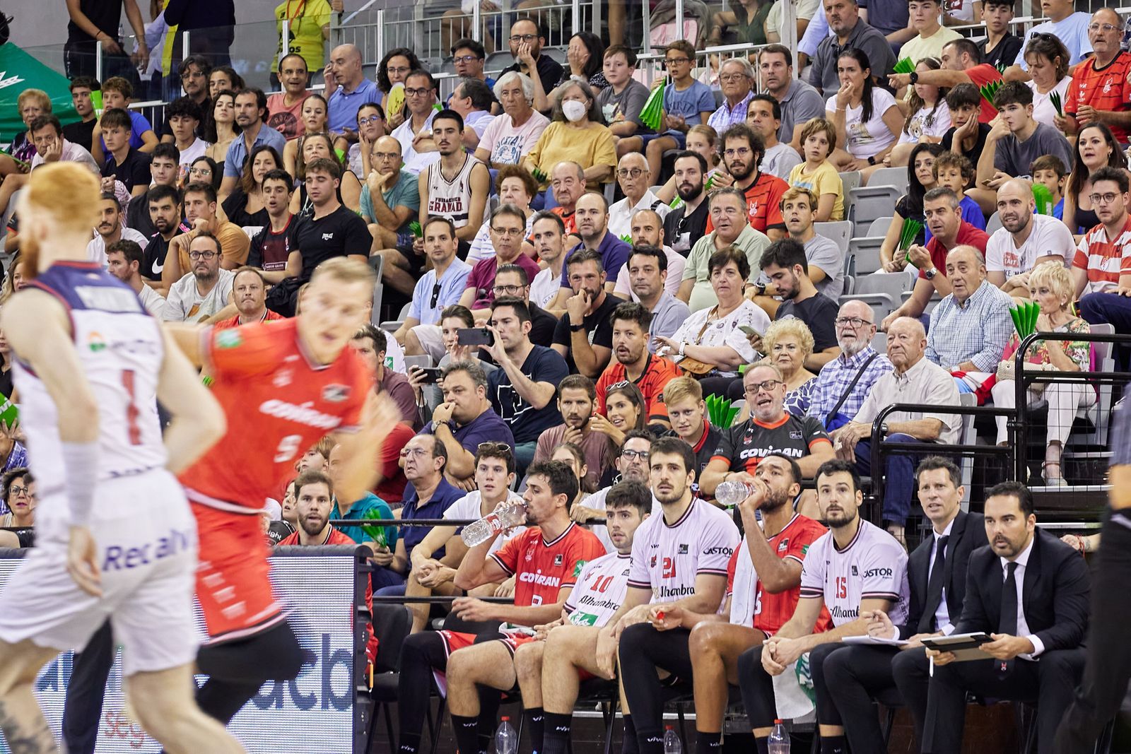 Encuéntrate en el Palacio de Deportes en el partido del Covirán Granada con el Baskonia
