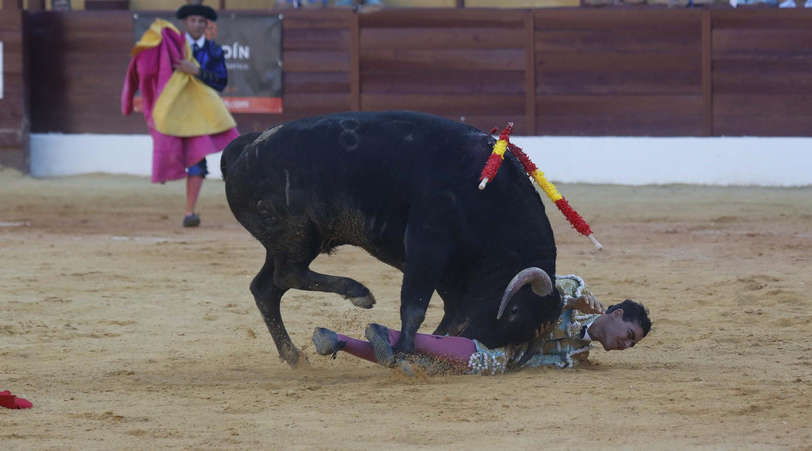 Las fotos de la primera semifinal del ciclo de novilladas de las Escuelas de Tauromaquia de Andalucía en La Línea