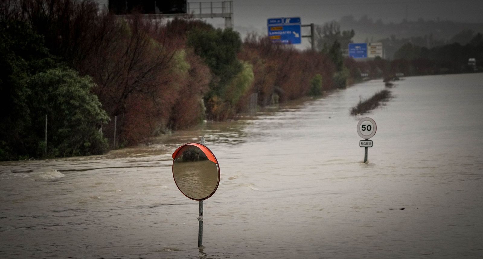 Imágenes de las graves consecuencias de la crecida del rio Guadalete en la zona rural de Jerez