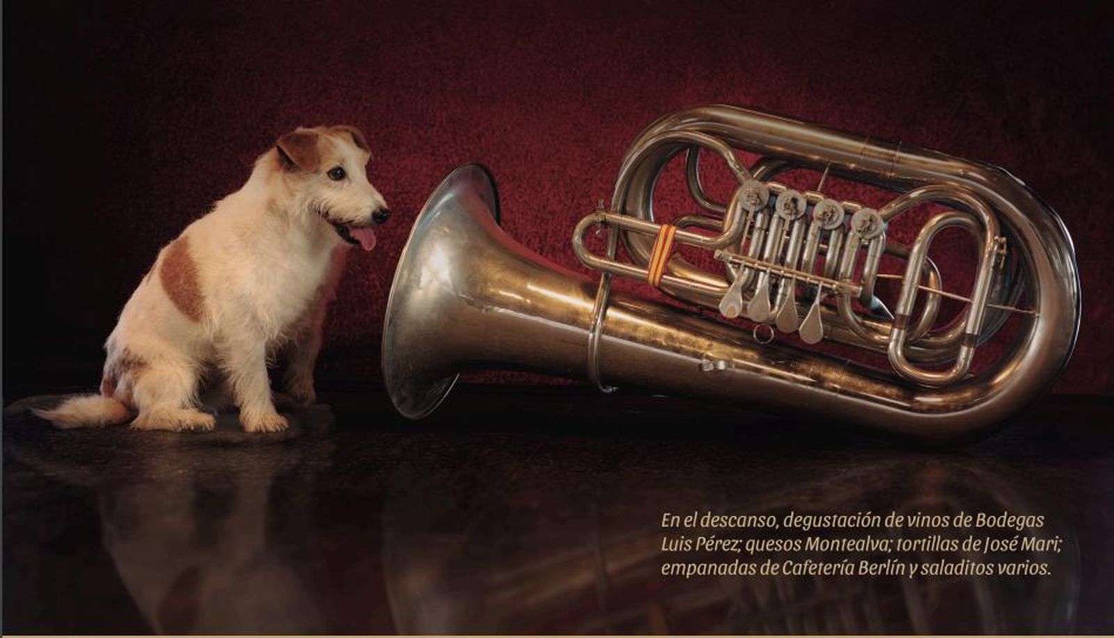 La gala a beneficio de 'No me abandones' se celebrará este viernes en Jerez