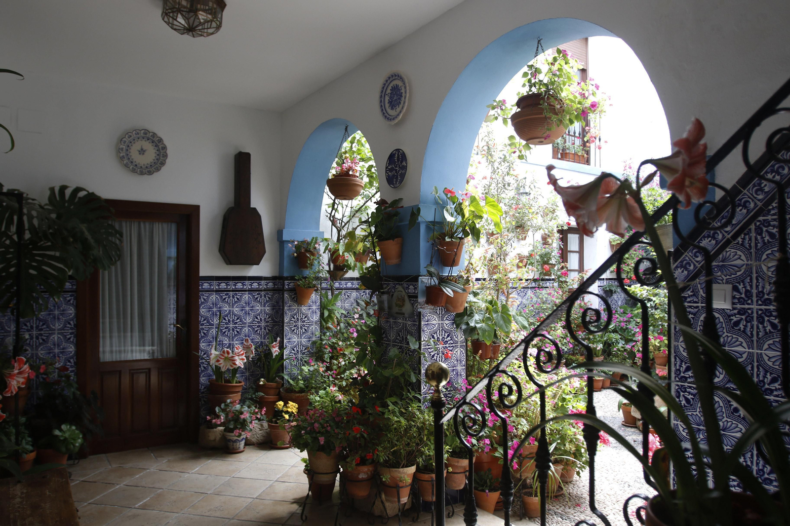 Los Patios de Córdoba en tiempos de crisis: Pedro Fernández, 6