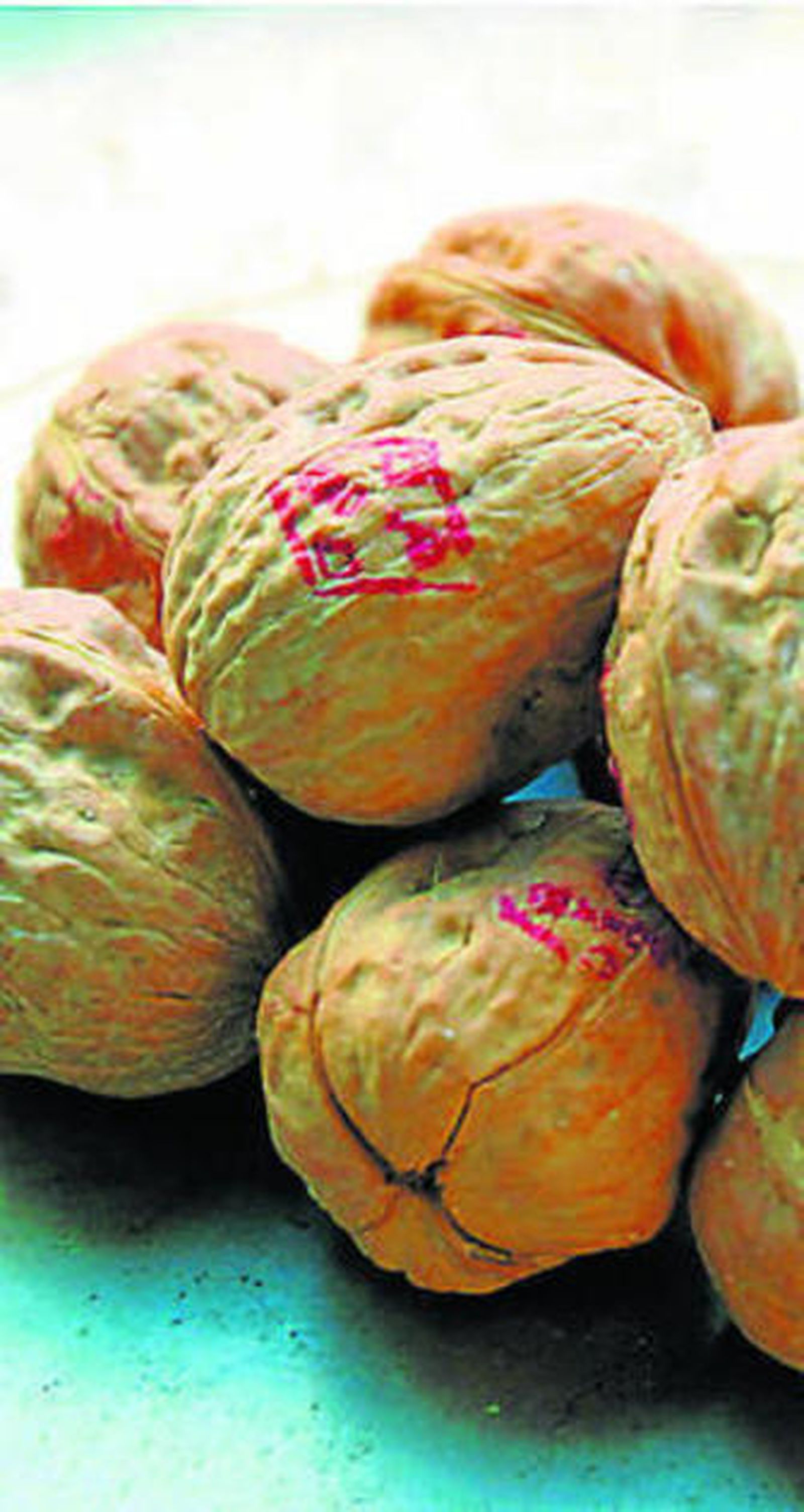 Las nueces son ricas en omega 3.