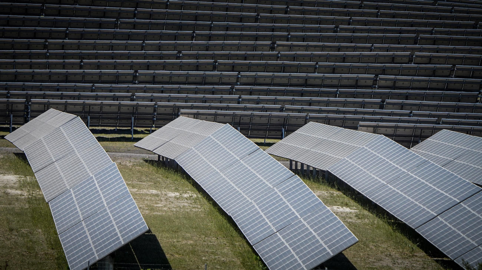 Un parque fotovoltaico ya operativo en Jerez.