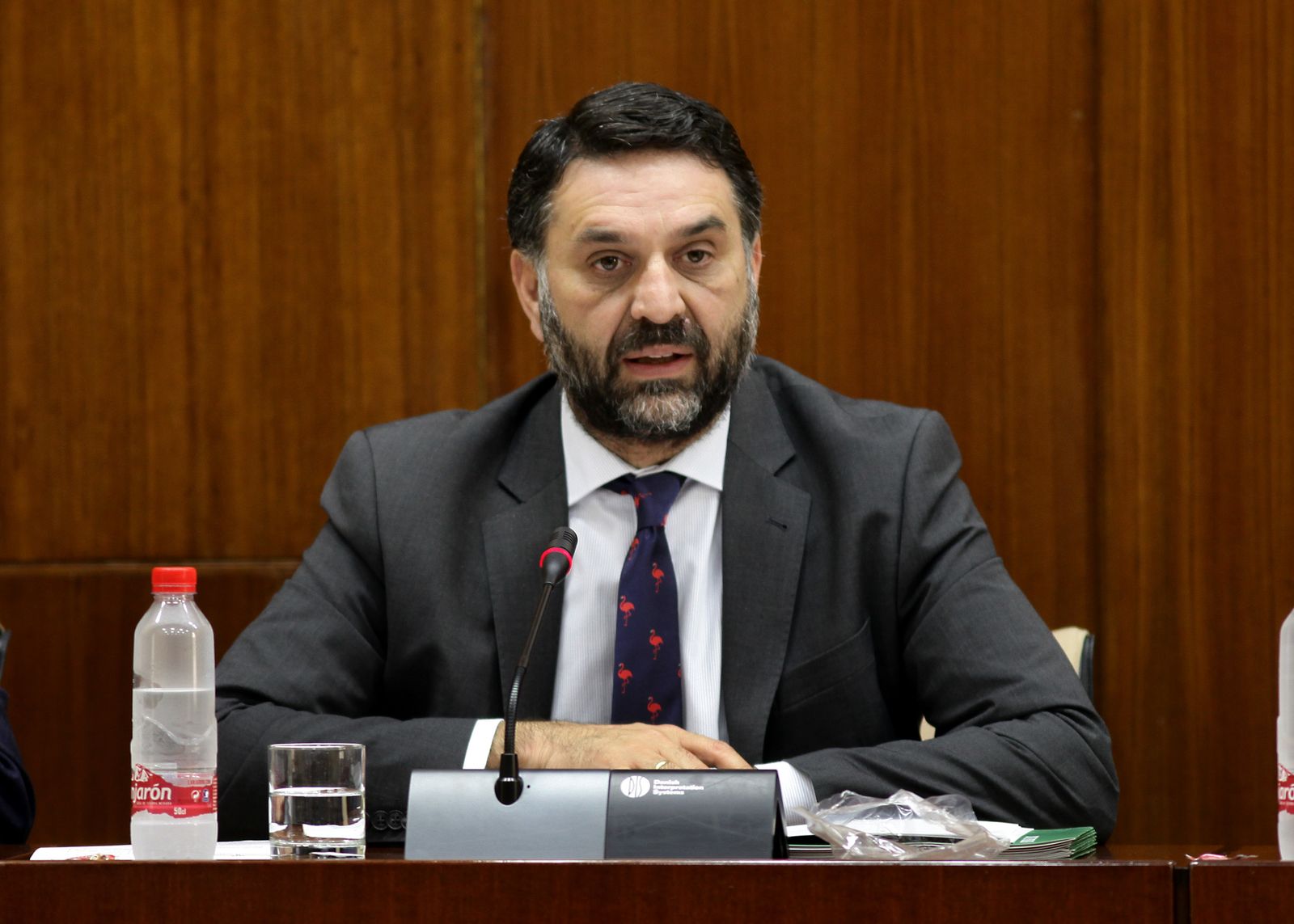 Francisco Javier Fernández, en una comparecencia en el Parlamento