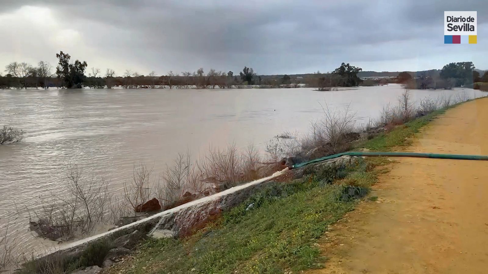 Este viernes  se espera la "cresta de la ola" en Lora del Río
