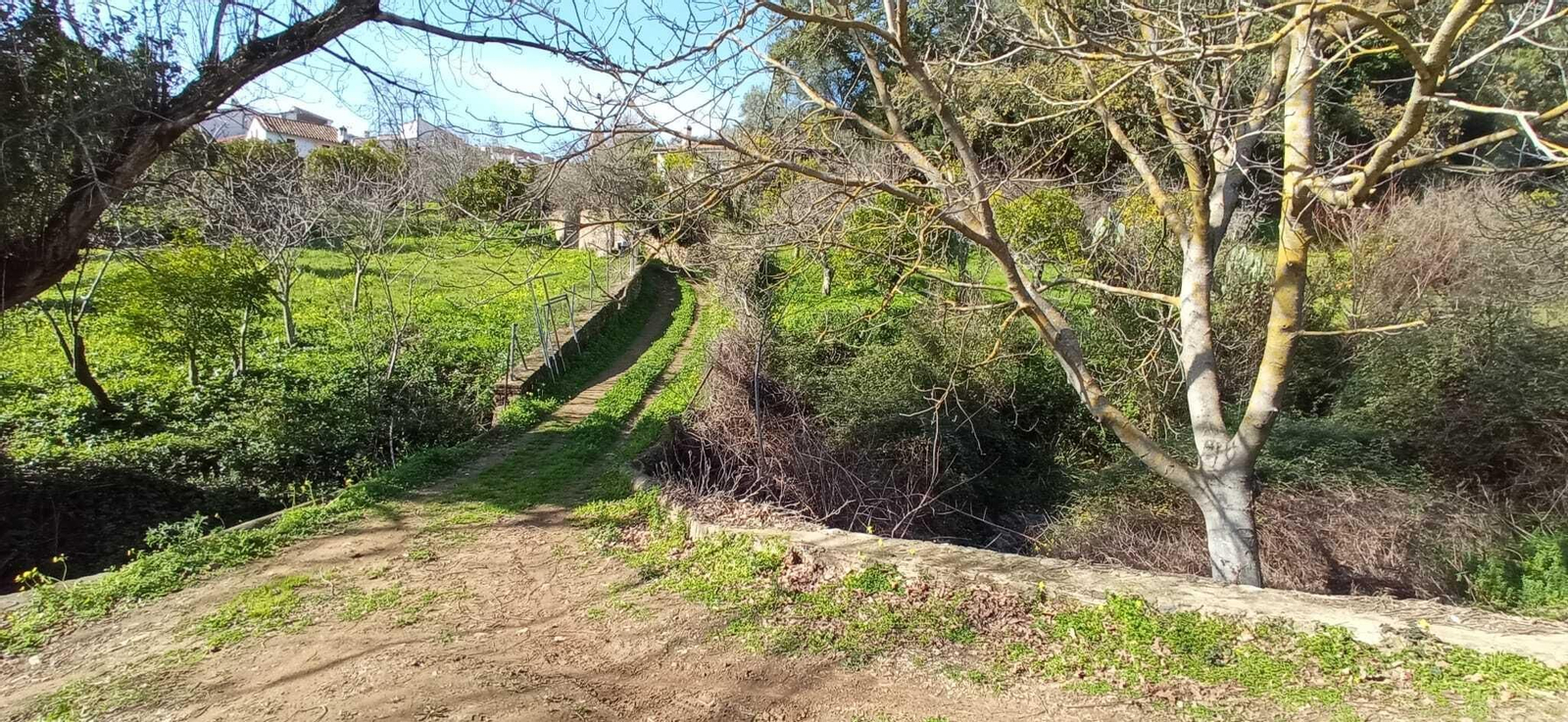 Fotos de la Ruta circular Aracena-Linares de la Sierra-Aracena