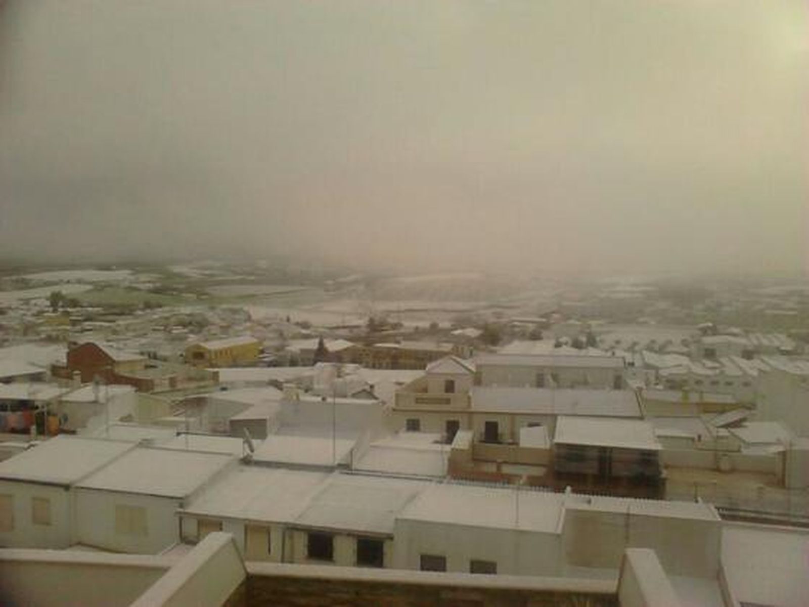 Montilla

Foto: El Día