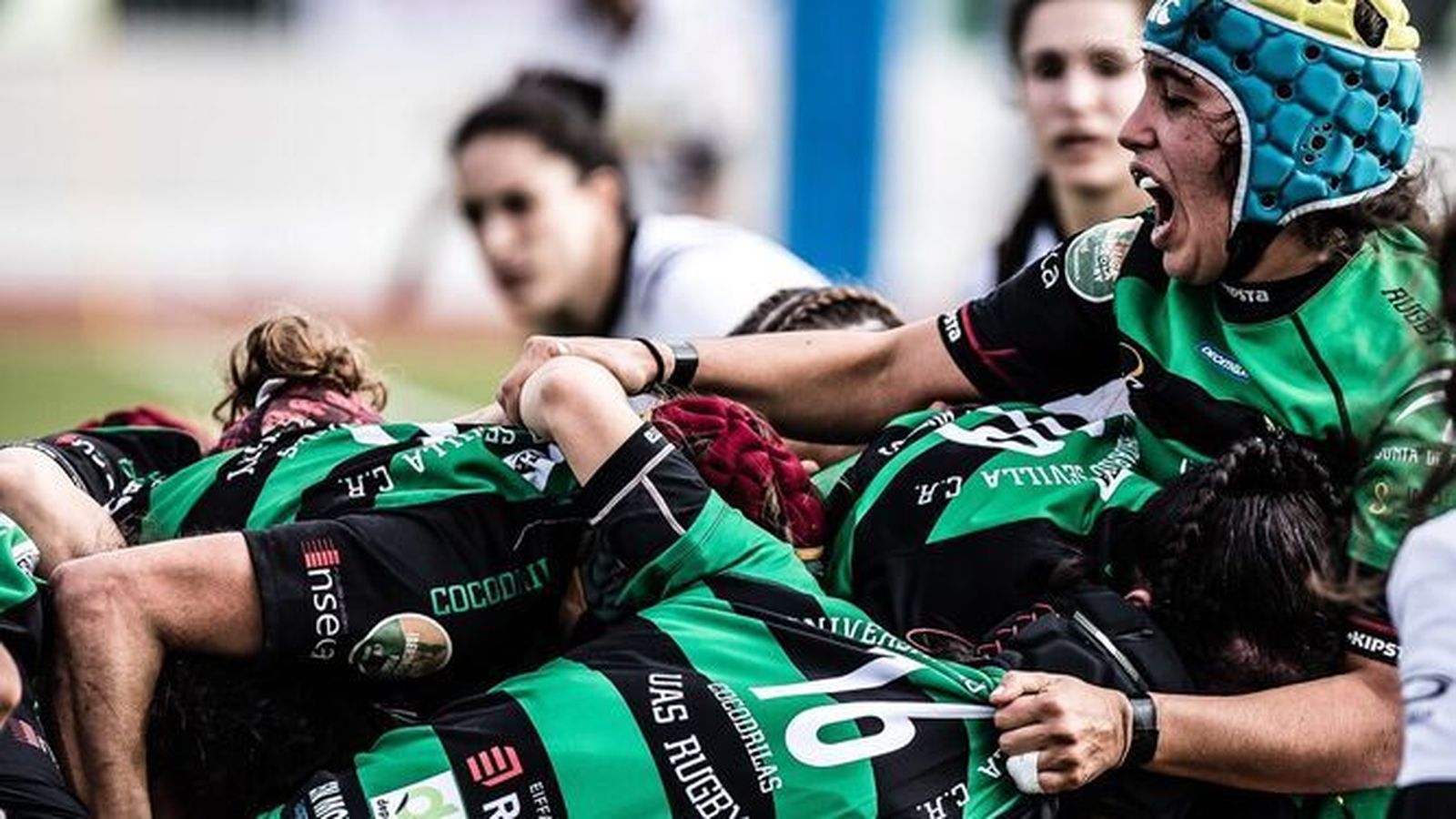 Una imagen de un maul del Ghenova Cocos.