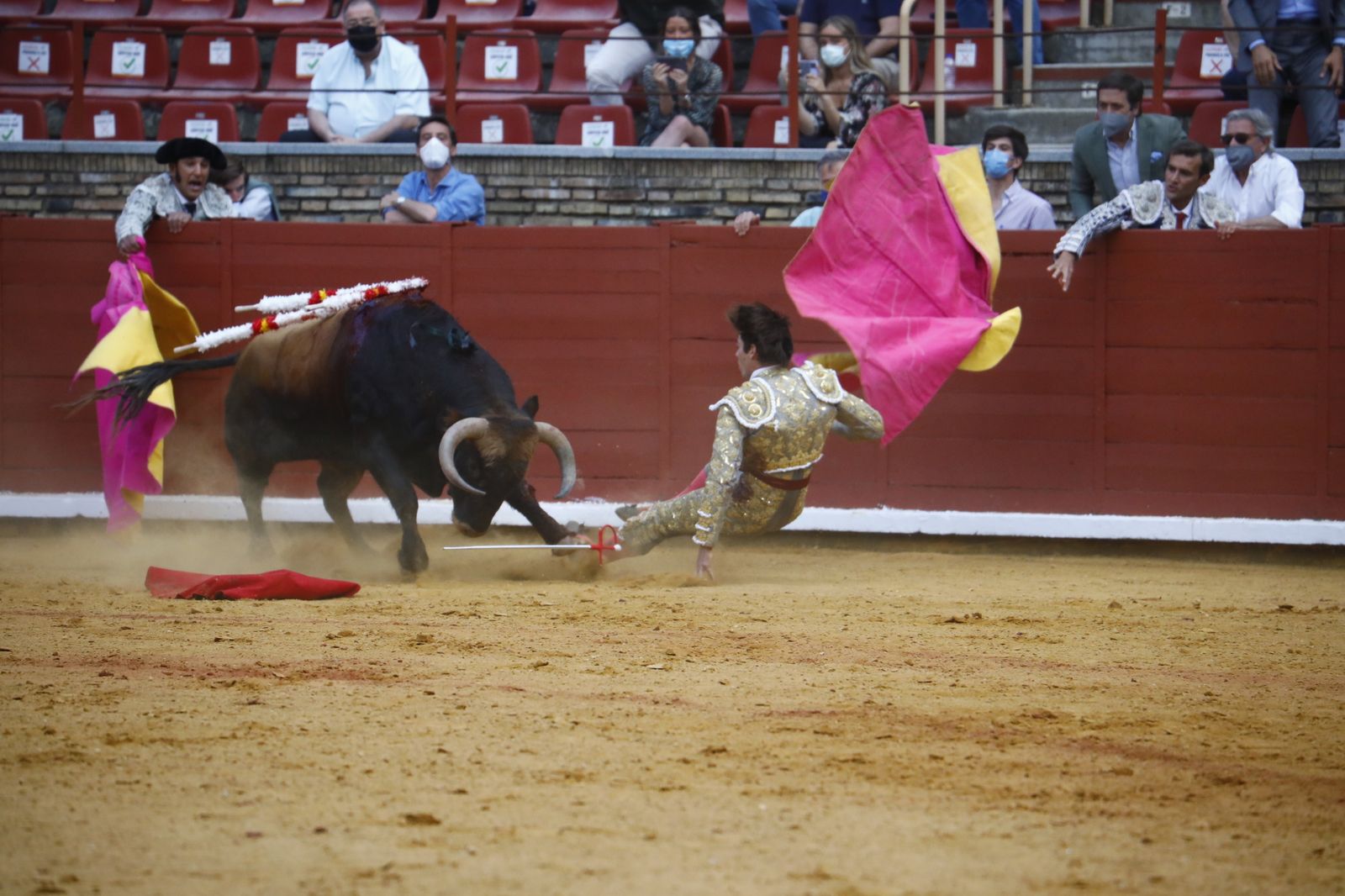 Las fotografías de la novillada con picadores de la Feria Taurina de Córdoba