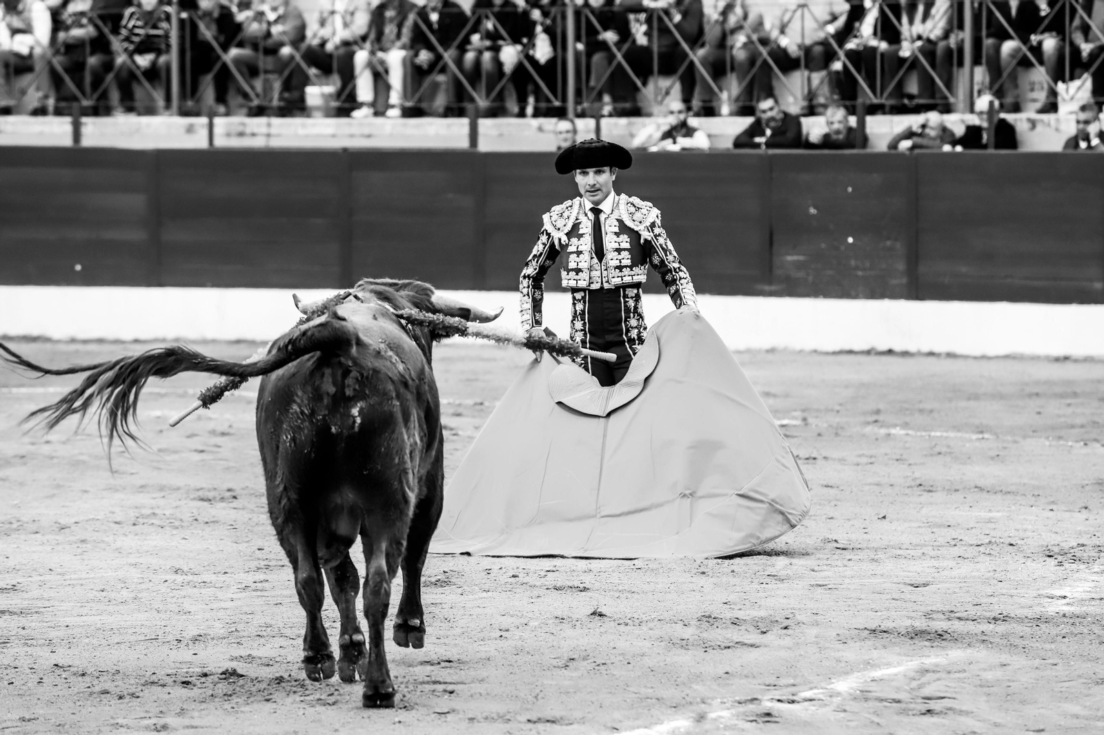 Imágenes de la novillada previa a la Semana Santa en la plaza de toros de La Línea