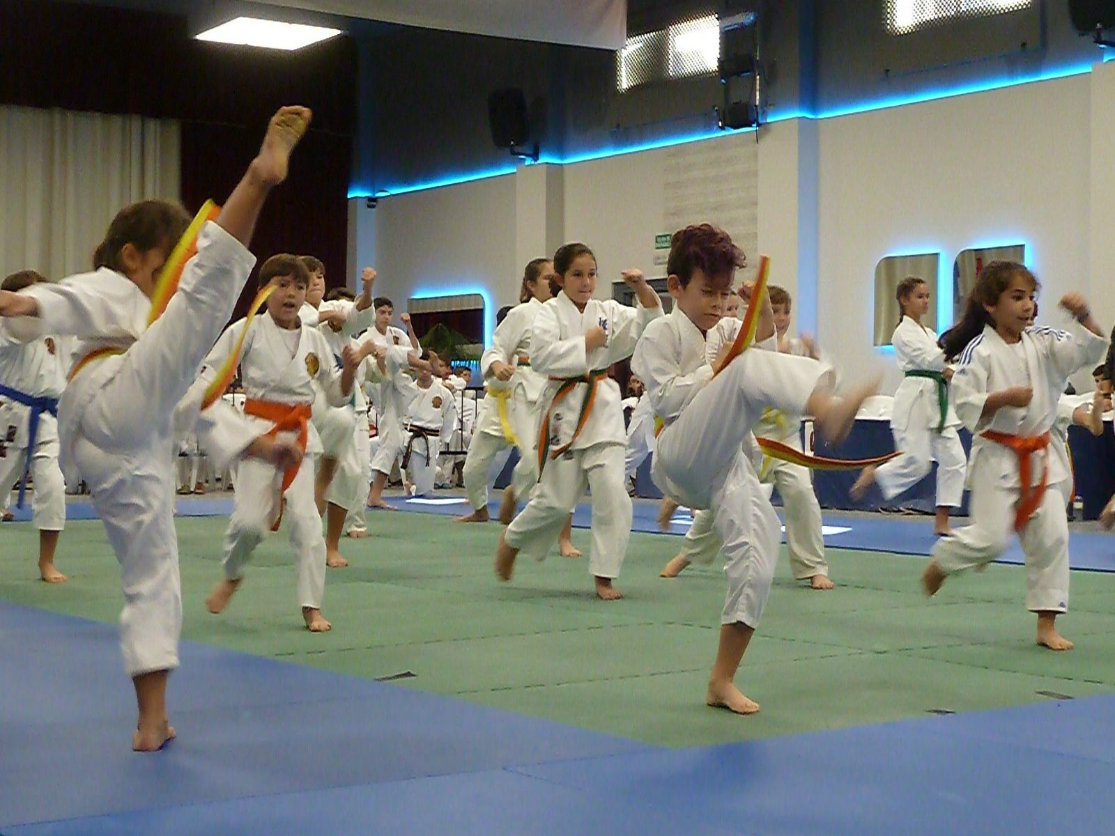 XII Gran Gala Solidaria de Artes Marciales en el Club Nazaret