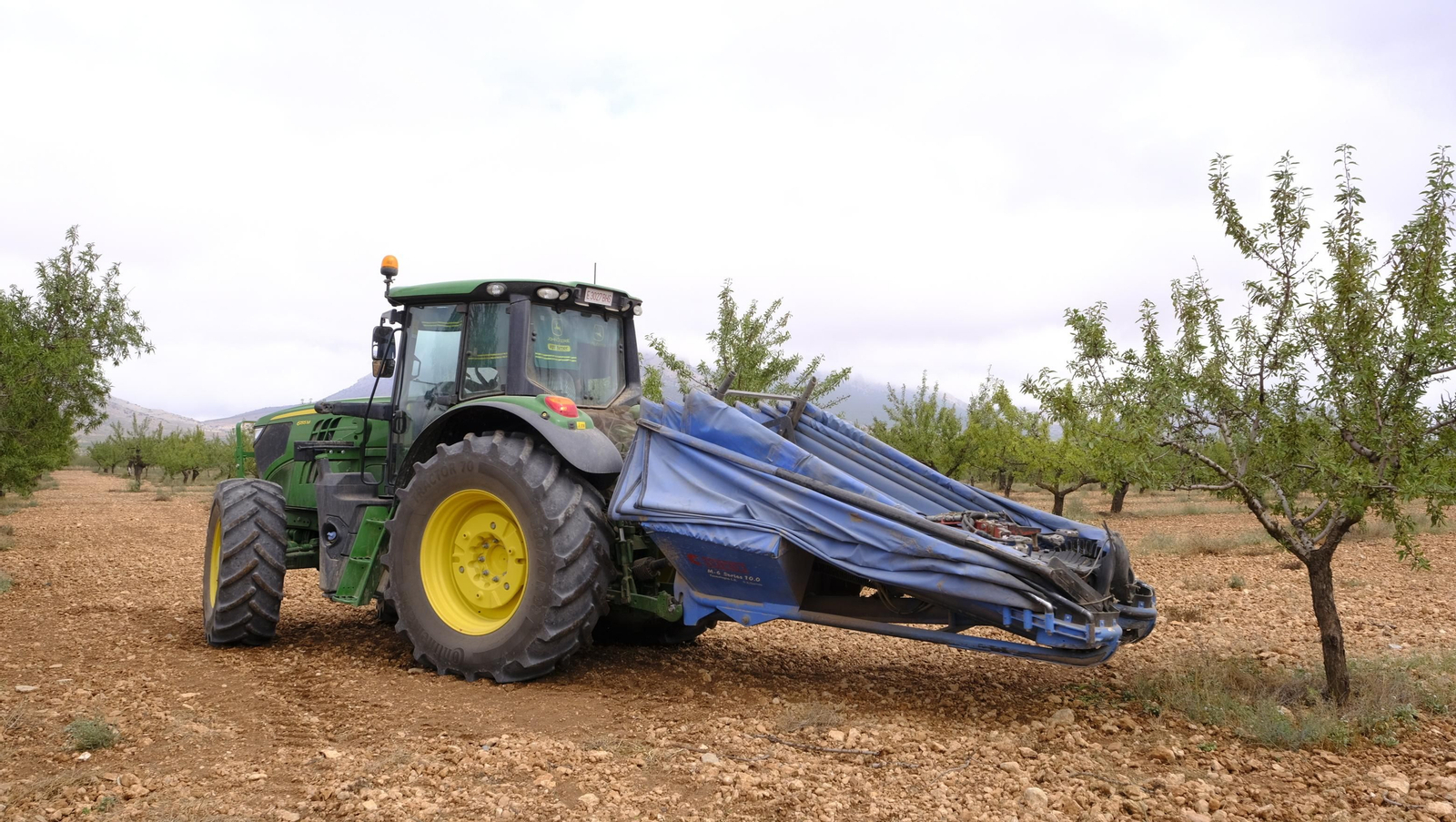 Imágenes de la almendra ecológica de Chirivel