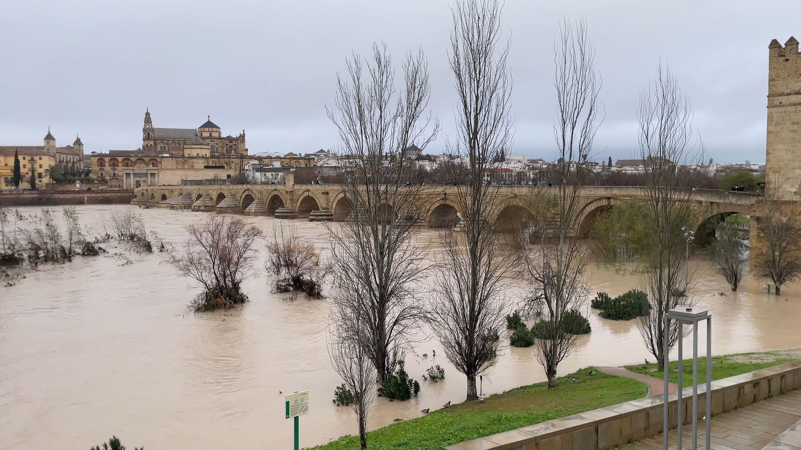 El río Guadalquivir a su paso por Córdoba este lunes