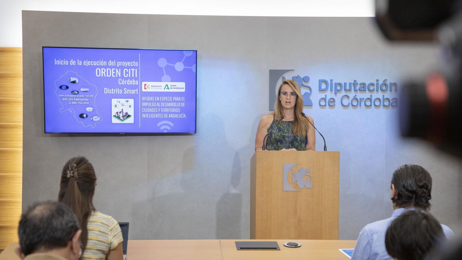 La diputada provincial Sara Alguacil, durante su comparecencia.