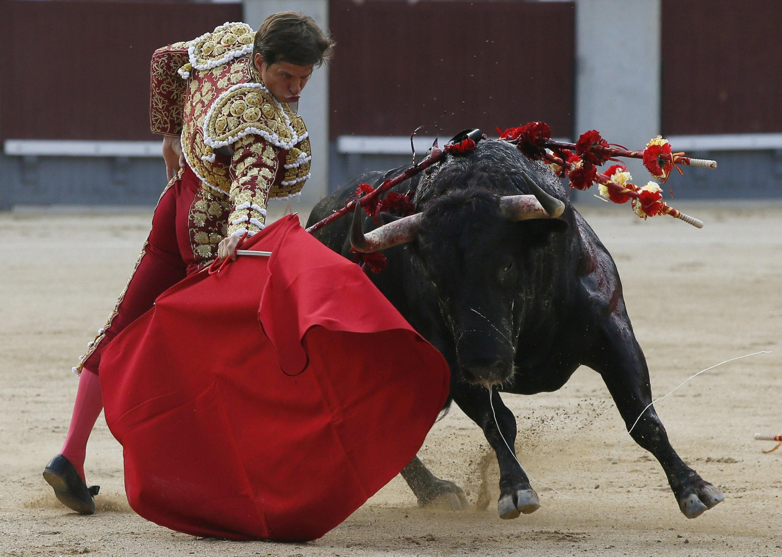 El Juli toreando en Las Ventas