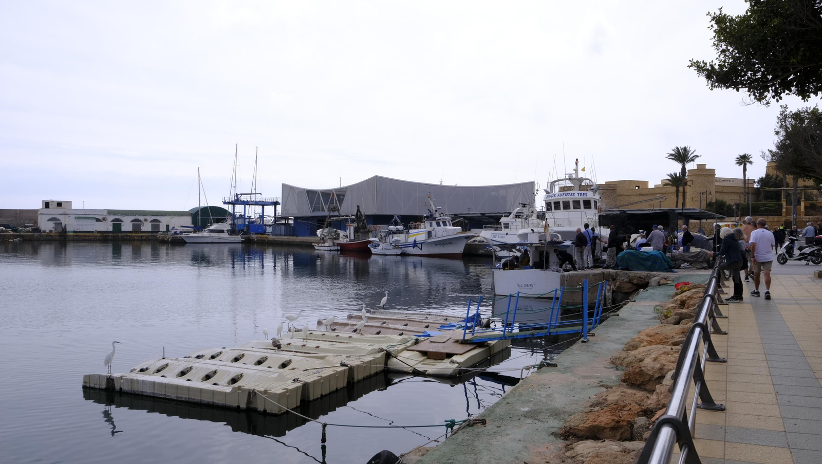 Imágenes de la inauguración de la Lonja del Puerto Pesquero de Roquetas de Mar