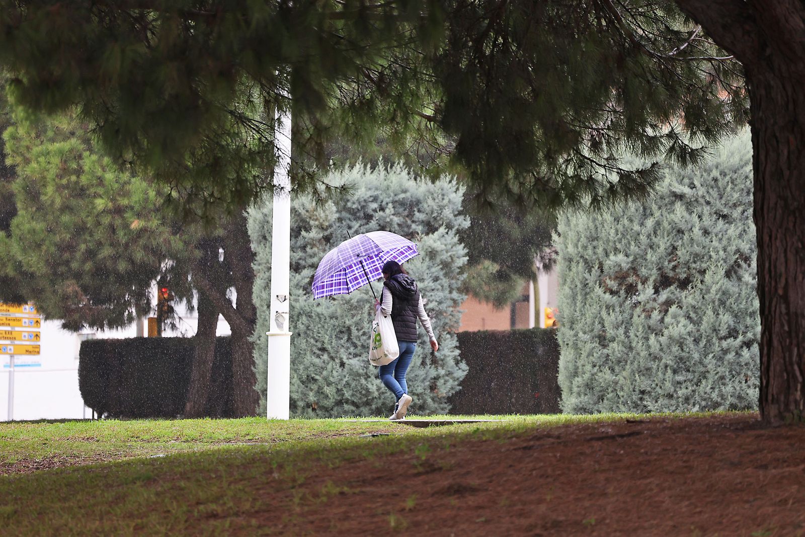 Las imágenes más destacadas del sábado 25 de enero en Huelva
