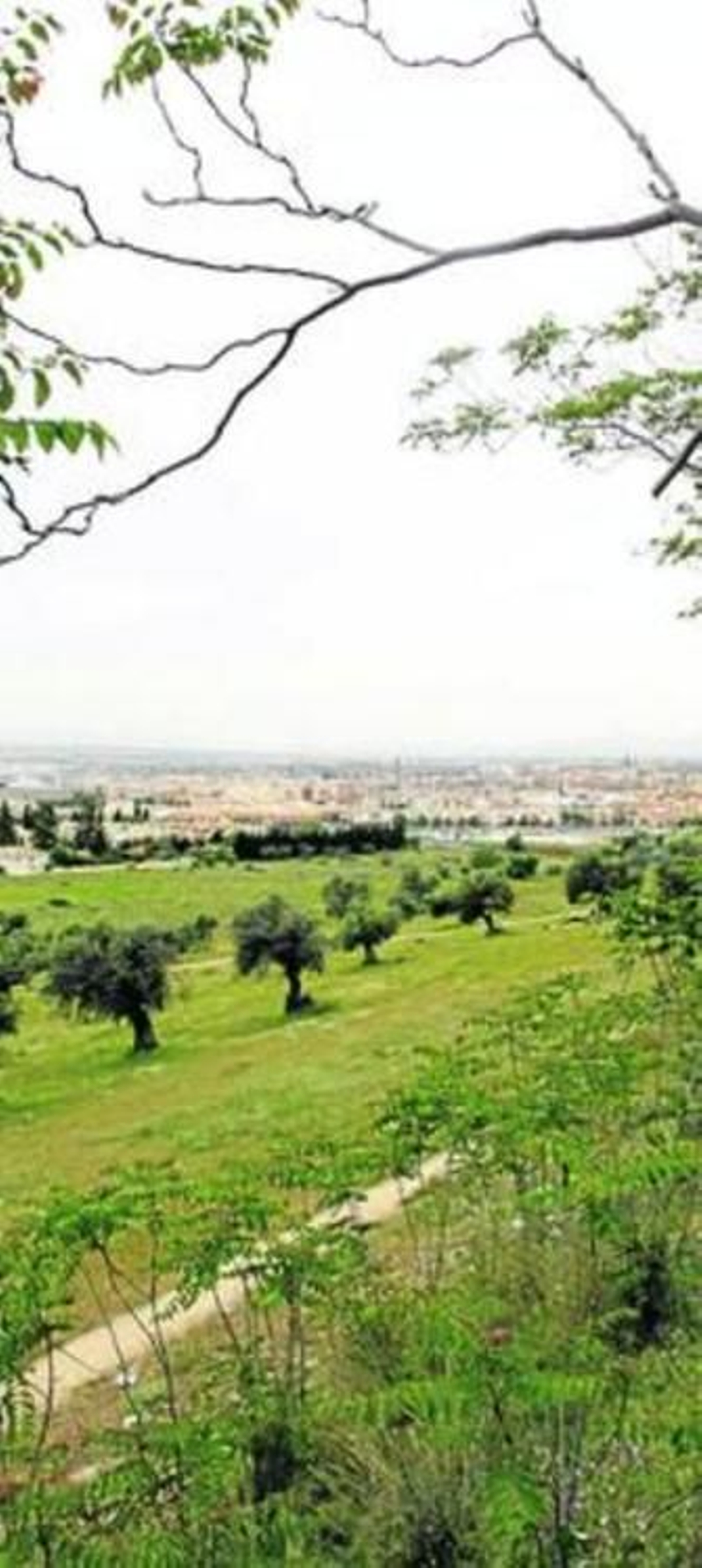 Zona en la que se prevé instalar el parque.