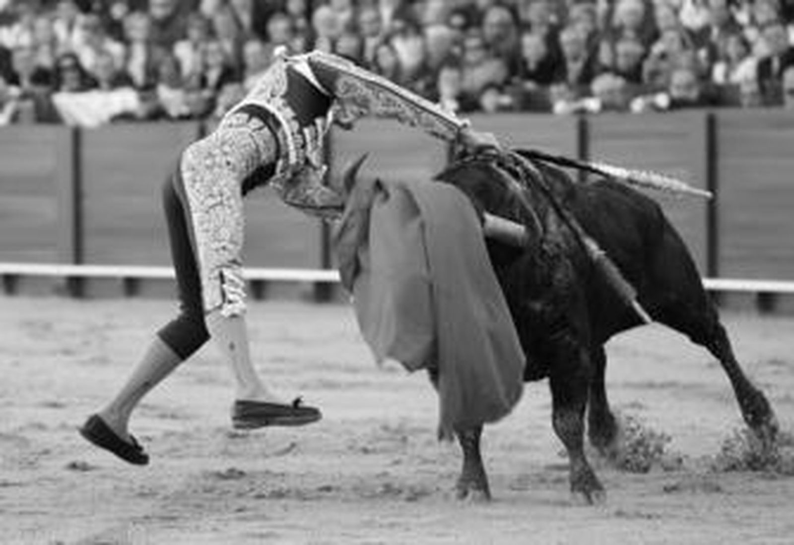 El Cid entró a ley en la suerte suprema con su primer toro, al que enterró el acero hasta la empuñadura en una estocada soberbia.